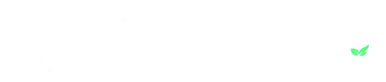 Keyfi Bowl